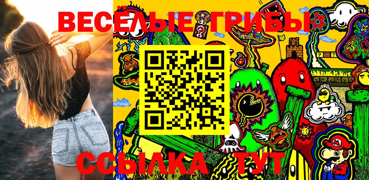 Реж  Галлюциногенные грибы GOLDEN TEACHER  Вход с VPN  Галлюциногенные грибы Psilocybe 