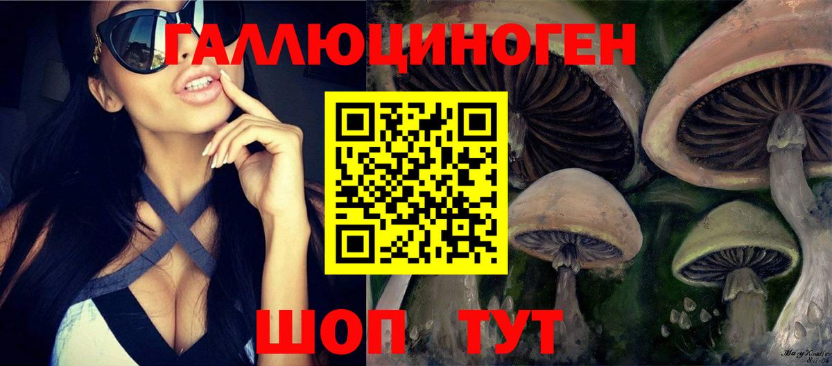 Галлюциногенные грибы Psilocybine cubensis Реж
